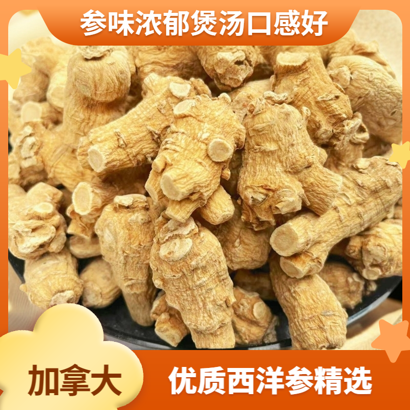 西洋参加拿大进口花旗参20克/果粒纯软支泡水煲汤高品质浓郁参味