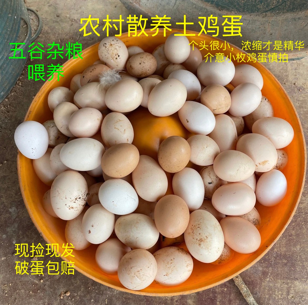 广西十万山农家散养土鸡蛋农村土鸡蛋农村土鸡蛋优质喂养