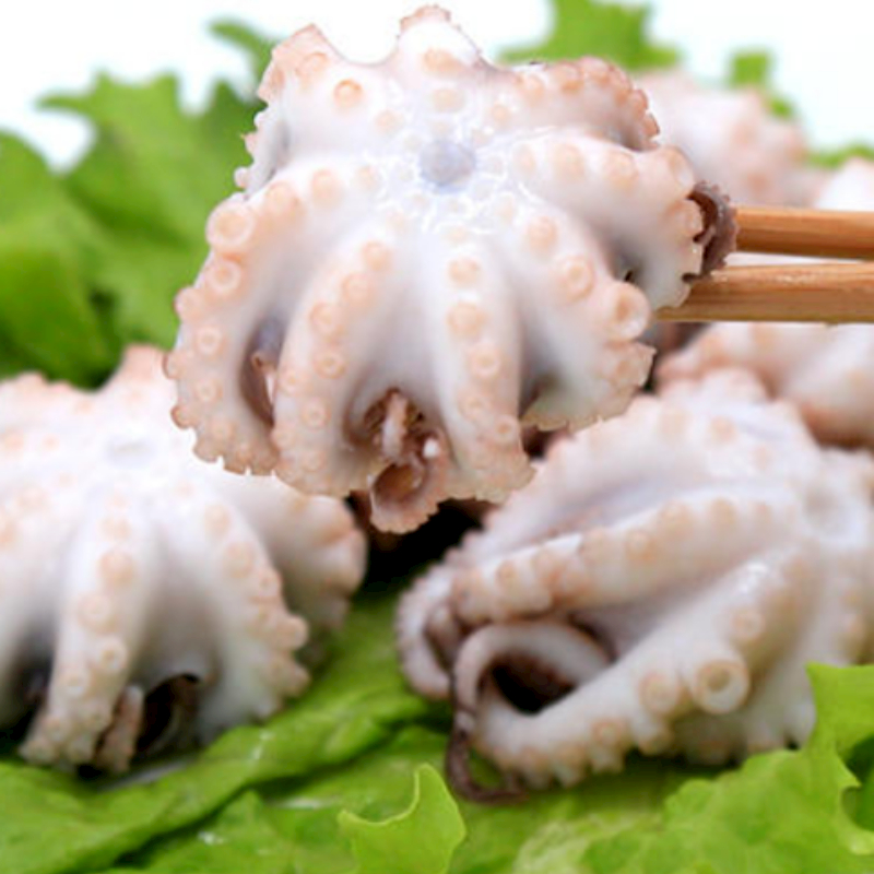 （小章推荐）山东日照发货海捕  无冰衣小短腿八爪鱼  3包