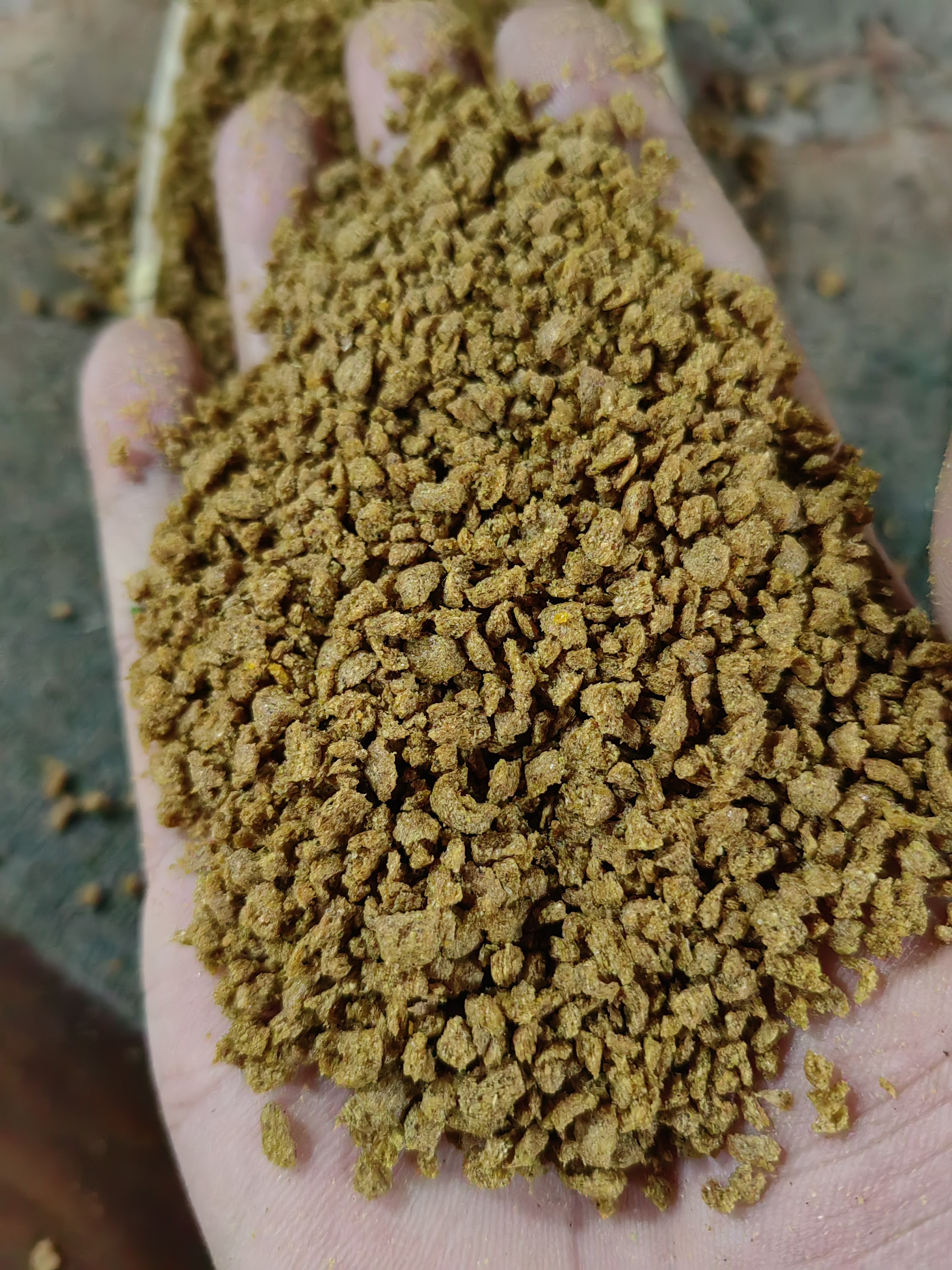 大破碎颗粒5斤装偷驴糗鱼回锅鱼191