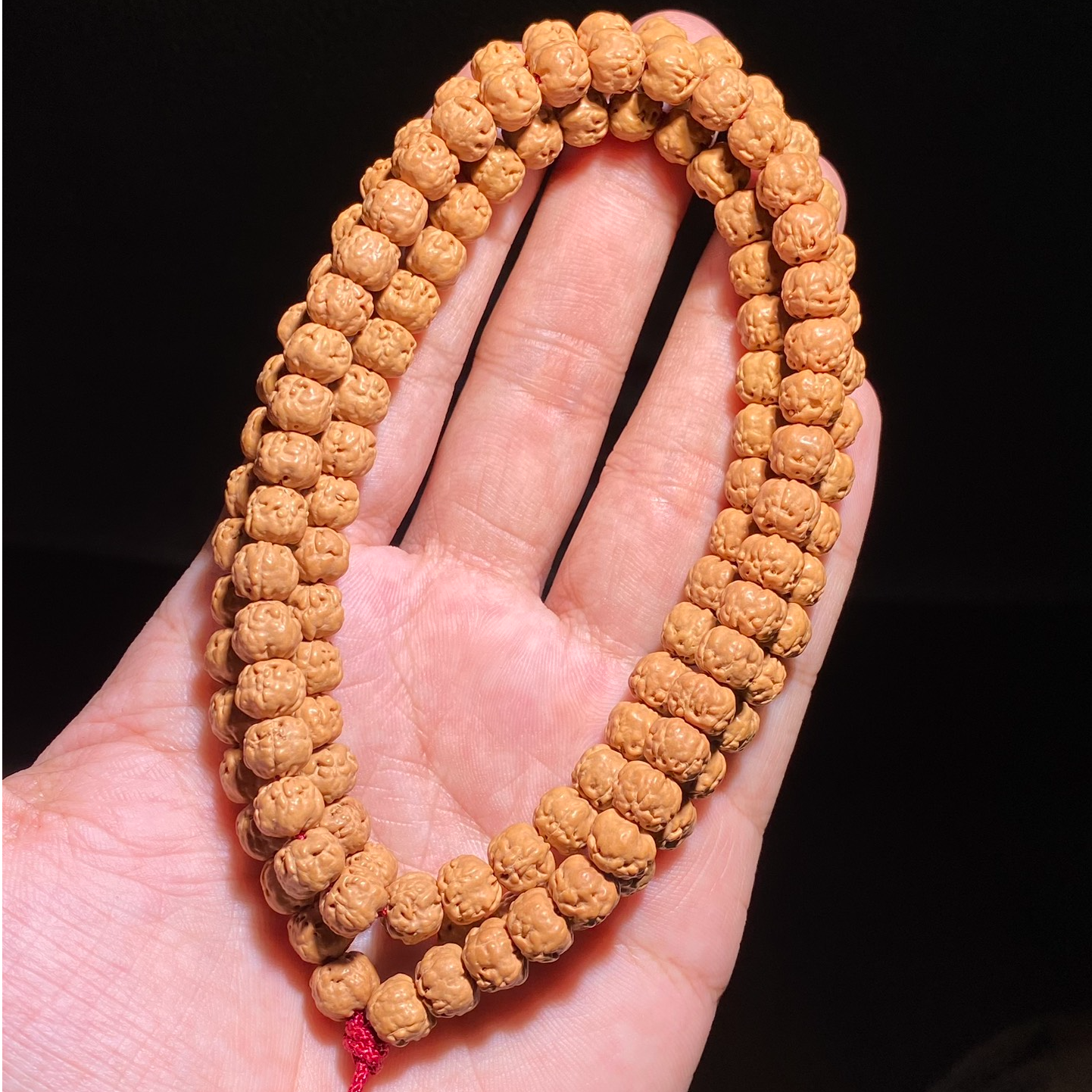 7.5mm天然无修矮桩佛手五爪金龙小金刚菩提籽