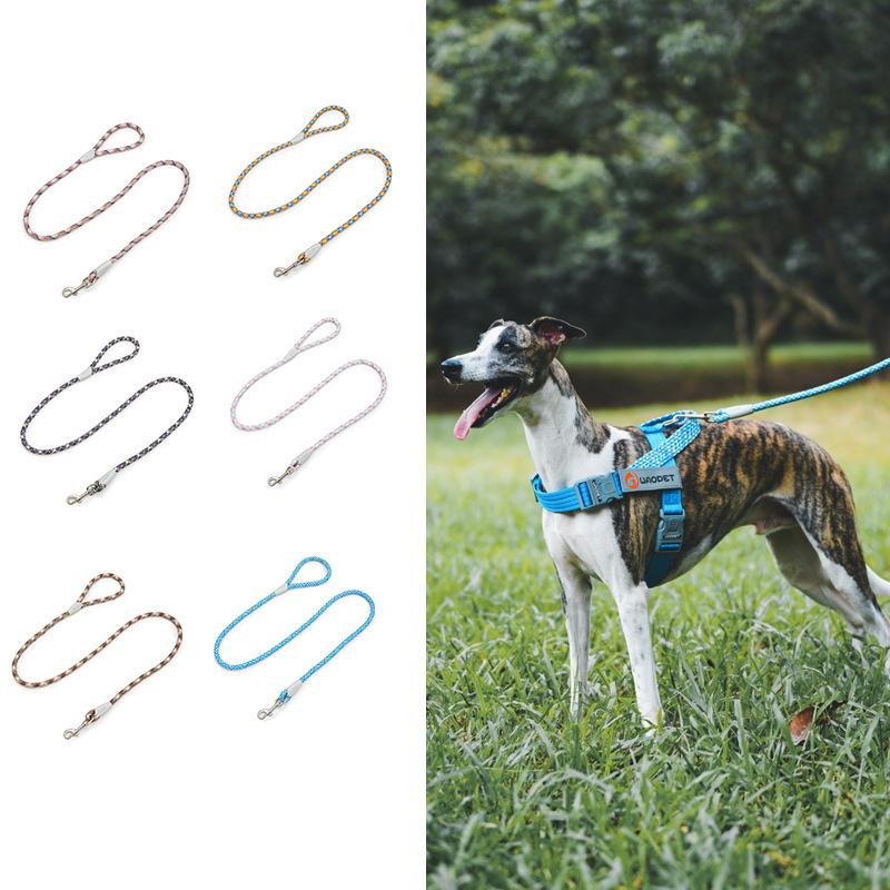 WAOPET狗狗细狗小中型犬牵引绳新款夜间反光涤纶宠物狗绳