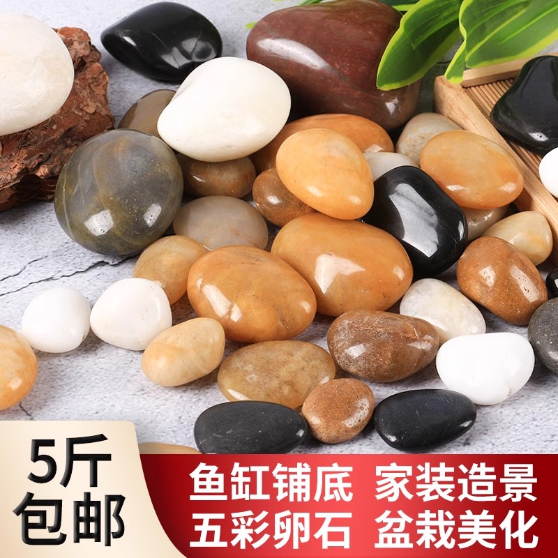 鹅卵石雨花石原石鱼缸花盆石鹅卵石小石头庭院装饰园艺五彩石头子