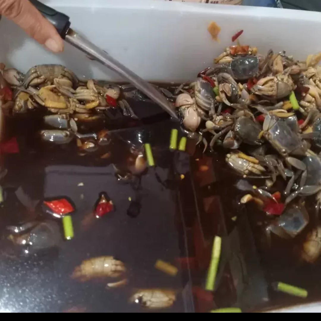 2025款醉蟹醉发财蟹 毛蟹鲜活生呛腌制开罐即食特产名菜500g/罐