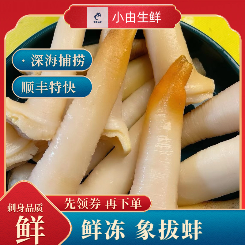 (小由生鲜)鲜冻象拔蚌呛拌象拔蚌象拔蚌刺身品质顺丰特快