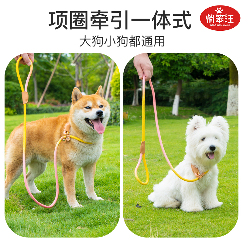 P绳狗狗牵引绳外出防爆冲训犬专用狗绳泰迪小中大型犬p绳遛狗绳子