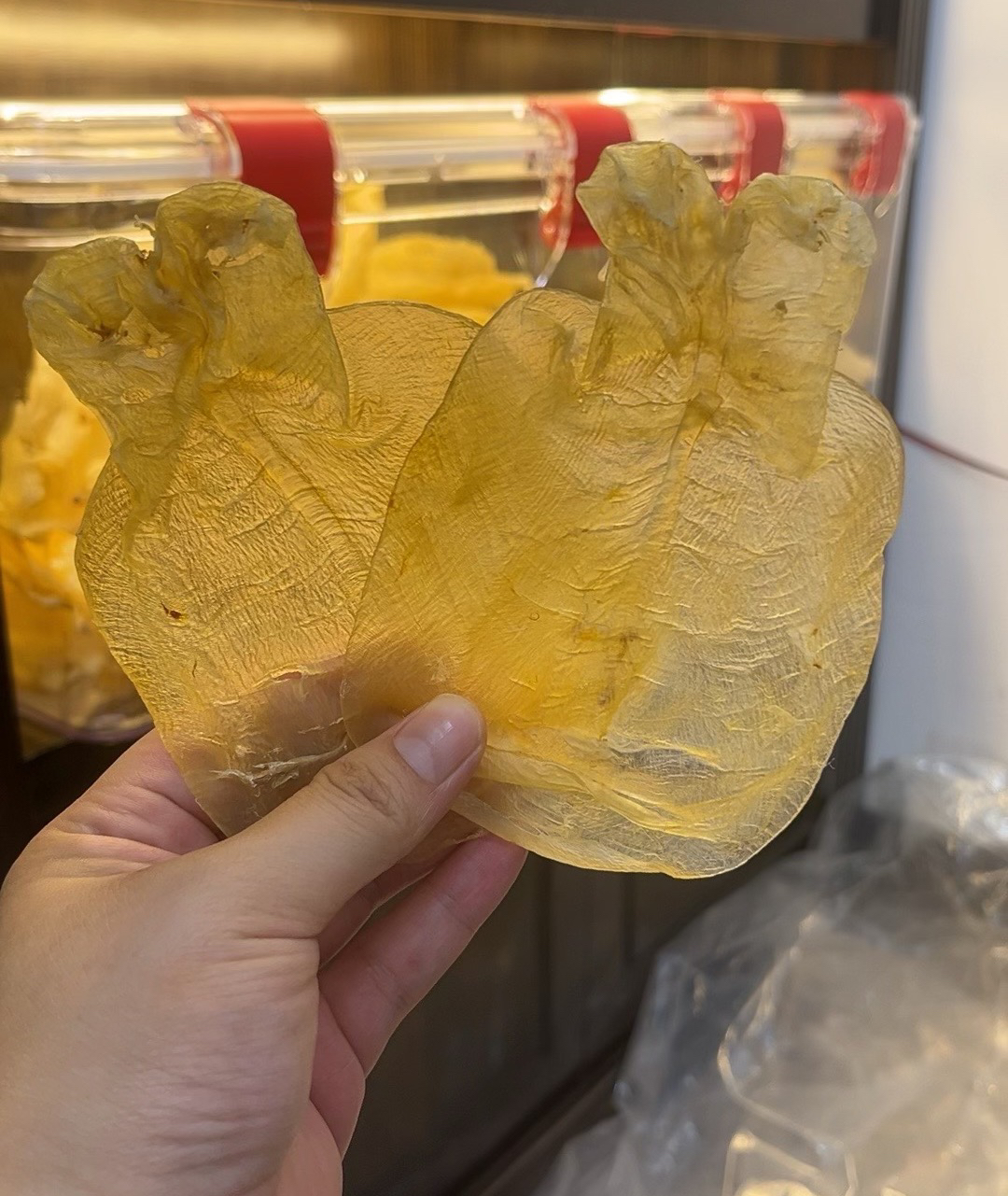 （莉莉鱼）野野 甲肚 蜘蛛片1-500g包邮