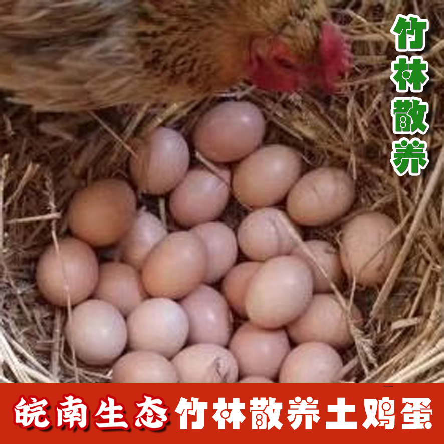 【皖南生态】竹林散养土鸡蛋