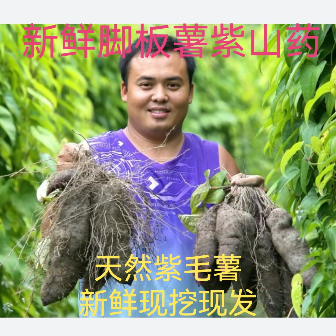 赣南产地营养美味绿色健康紫薯脚板薯紫玉山药古天根