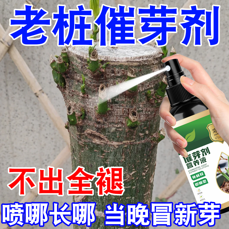 催芽发枝促发芽催芽剂园林果树促芽分化营养液细胞分类素免稀释