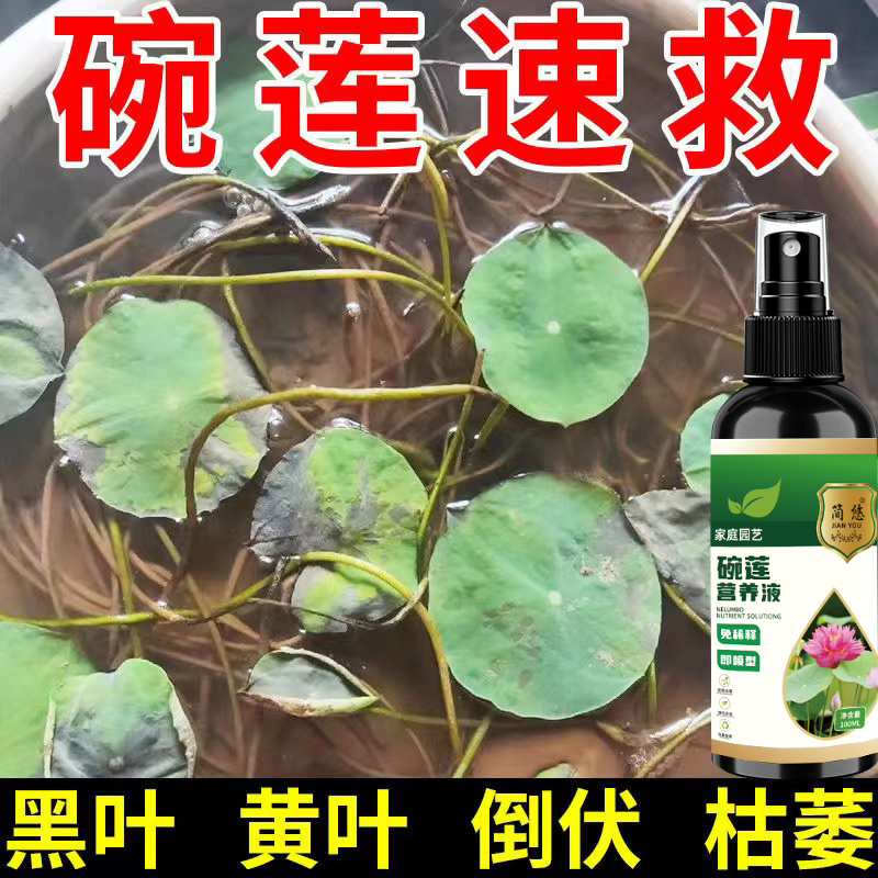 碗莲营养液高效免稀释直喷型液体肥专用叶子发黑变黄倒伏根部腐烂