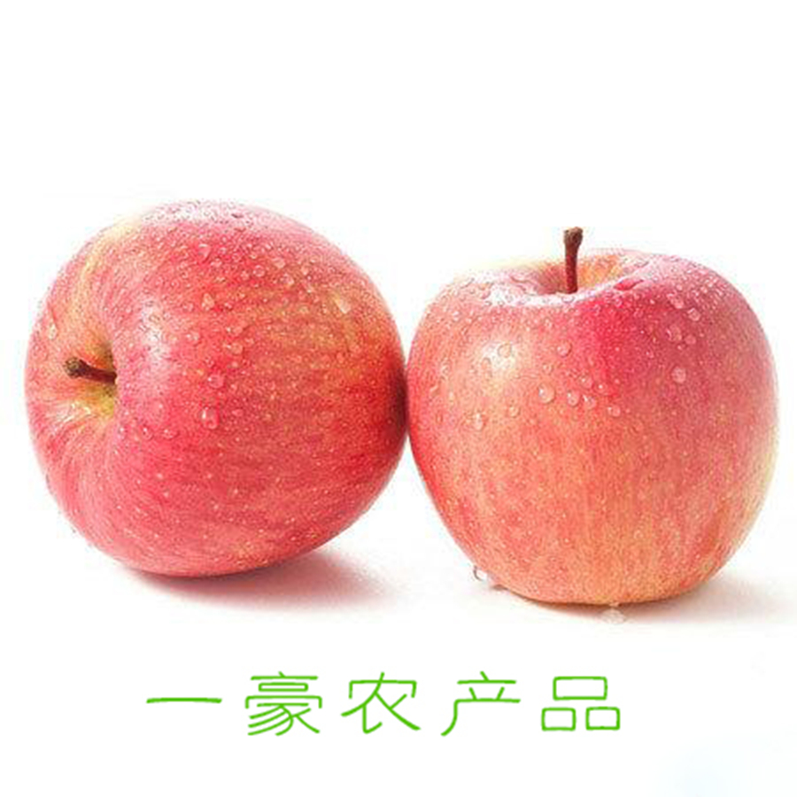 陕西省渭南市白水县红富士苹果