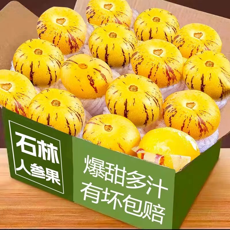 【只卖果王】正宗石林人参果黄肉圆果特大果新鲜当季黄心超甜整箱