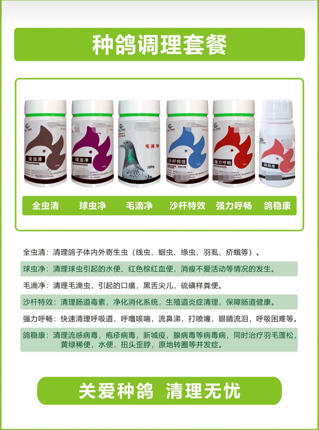 种鸽调理套装让种鸽更健康