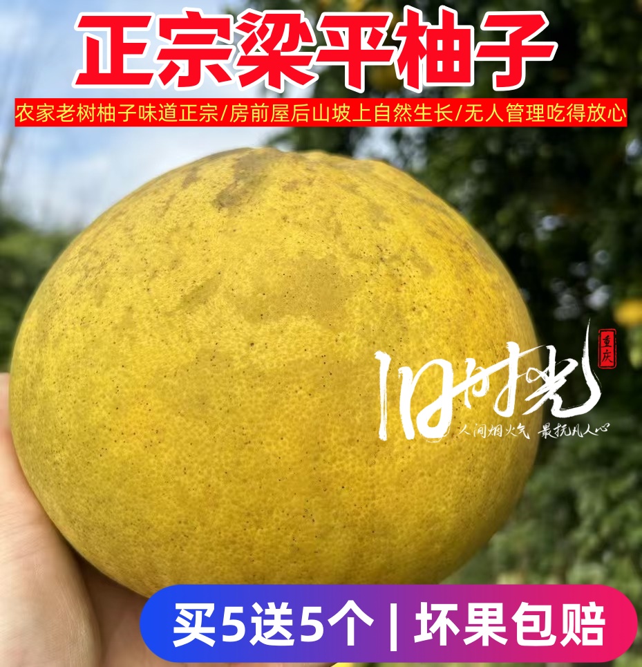 正宗梁平柚子梁山柚重庆特产农家老树麻柚平顶柚纯甜多汁新鲜现摘