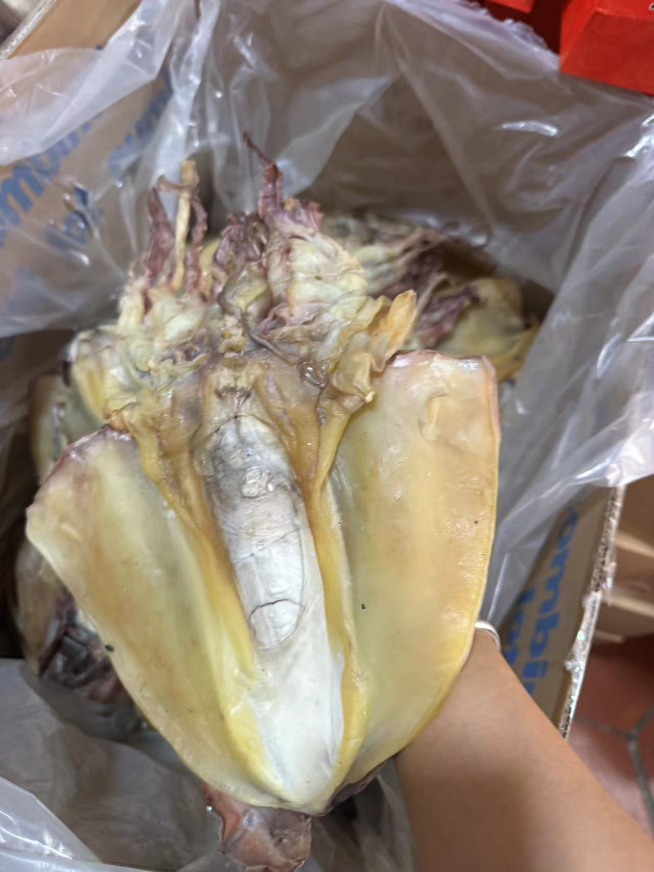 本地福建石狮墨鱼经济实惠海鲜干货目鱼干正宗墨鱼