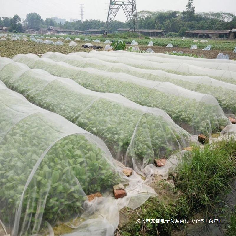 种菜防虫网菜地专用防鸟纱网樱桃防鸟罩大棚蔬菜农用防鸟用网加密