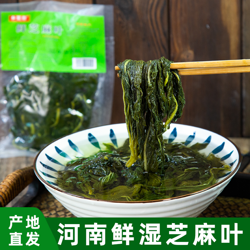 鲜芝麻叶南阳特产真空凉调下面煲汤新鲜营养原味精选低温开袋食用