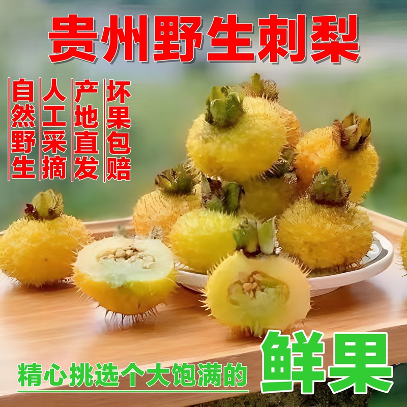 2025贵州头茬刺梨刺梨果应季水果泡酒煮粥煲汤野生刺梨现摘现发