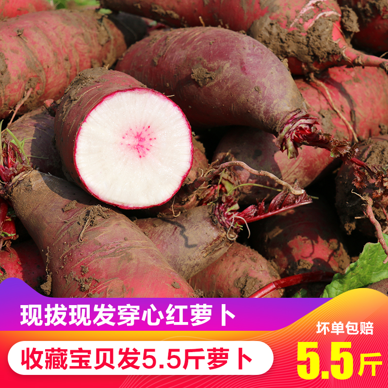 【5.5斤装】新鲜穿心红萝卜现拔现发甜脆邳州农家紫皮水果萝卜