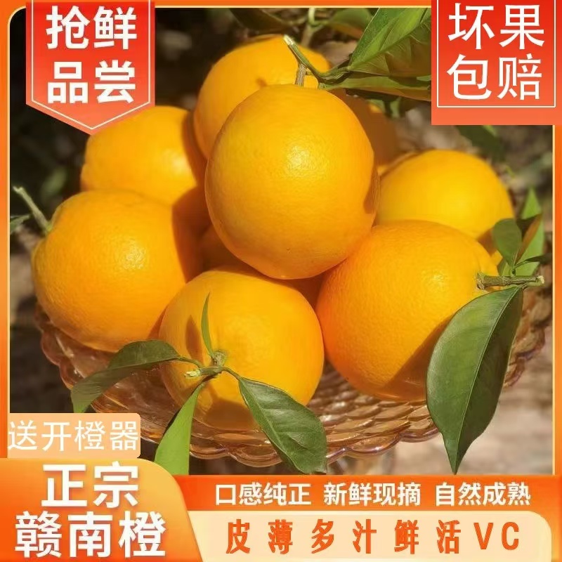 正宗江西赣南脐橙原产地直发