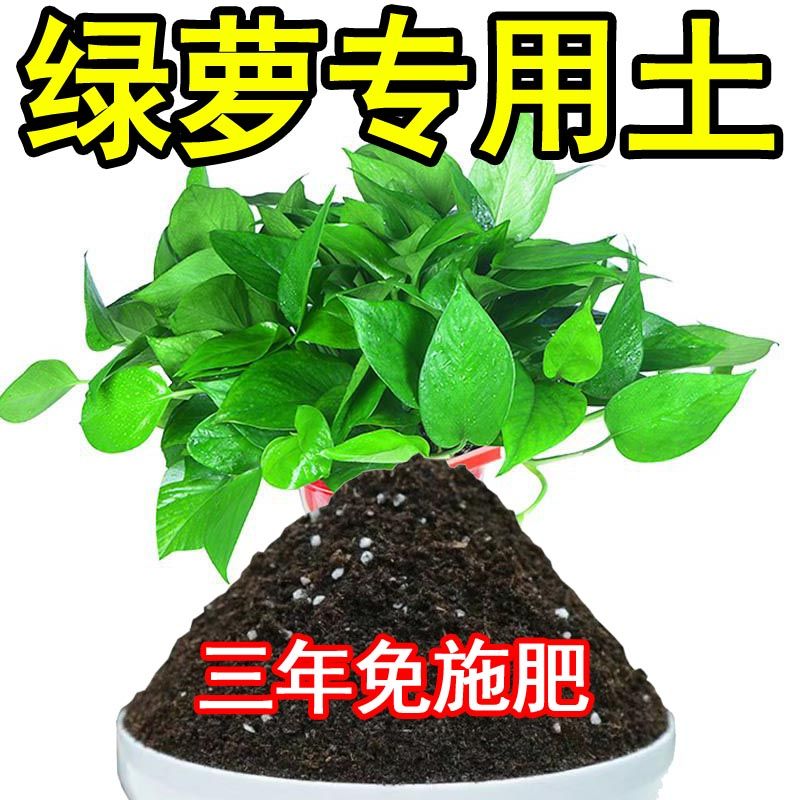 绿萝专用土盆栽土通用营养土种植土客厅室内种花土酸性土有机肥料