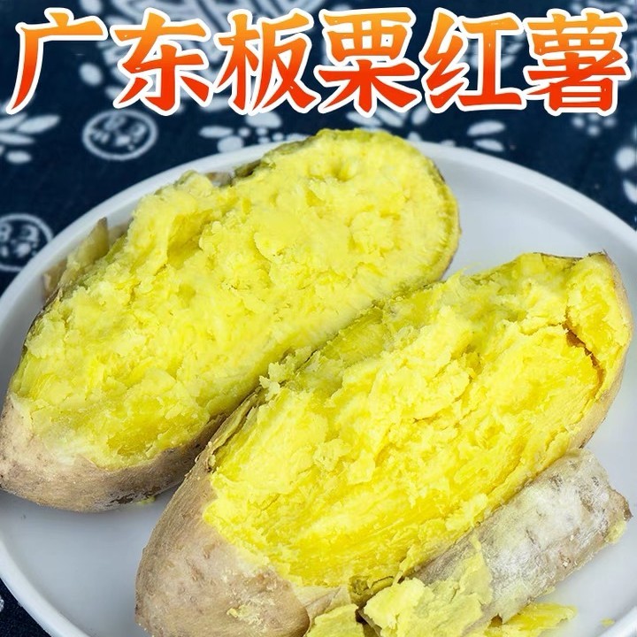 广东正宗潮汕白皮黄心板栗薯香甜农家鸡蛋黄粉甜红薯沙地现挖地瓜