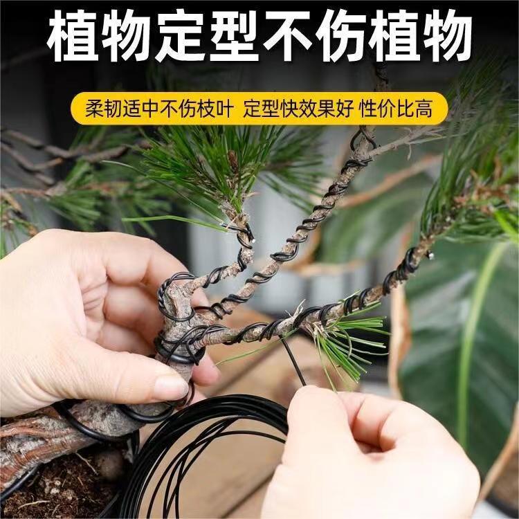 园艺铁丝盆景造型专用铝线盘扎植物铝丝线蟠扎花卉罗汉松定型吕丝
