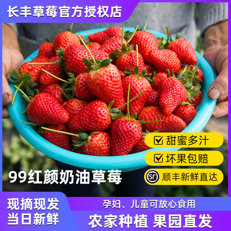 长丰草莓长丰草莓99红颜奶油新鲜水果九九草莓现摘大果