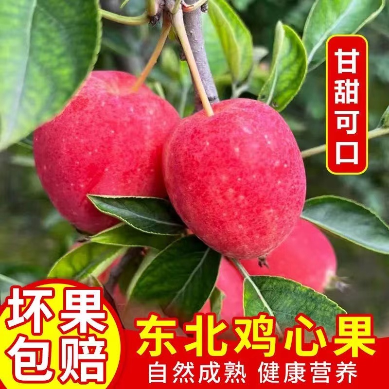 【新开园福利】正宗东北鸡心果，锦绣海棠果，冰糖心小苹果，产地直发