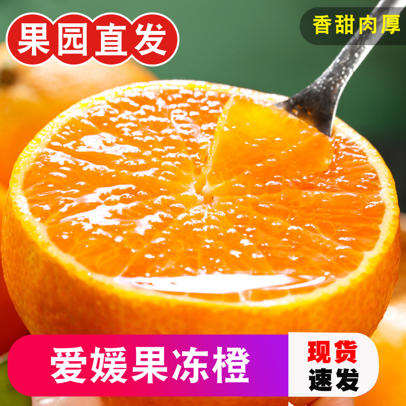 正宗四川爱媛38号果冻橙新鲜现摘3/5/8斤手剥橙子香甜多汁柑橘
