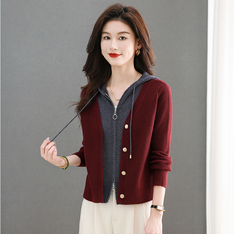 连帽假两件毛衣外套开衫女针织衫秋装2025新款女装时尚百搭设计感