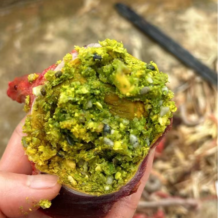 农家散养吃粮食长大鸡鸭