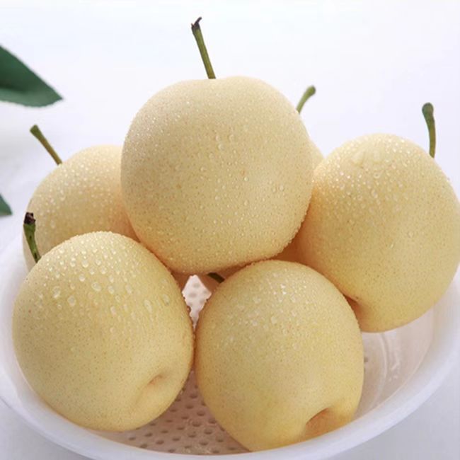 河北皇冠梨赵县水晶梨5/9斤新鲜水果应季水果多汁食用细腻成熟