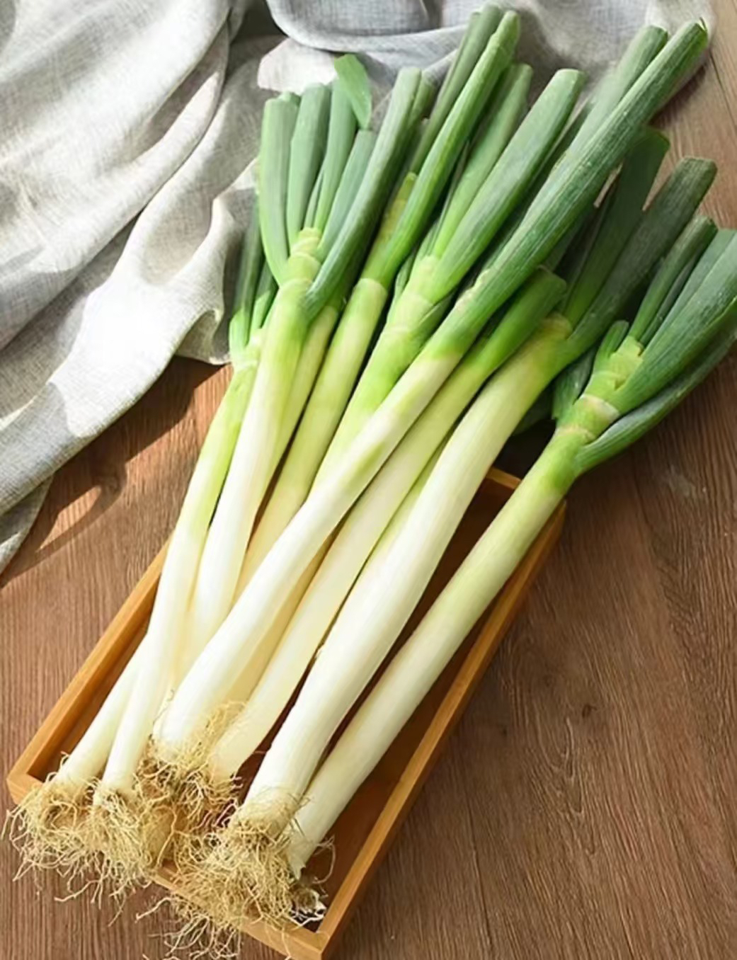 山东农家铁杆大葱新鲜现挖