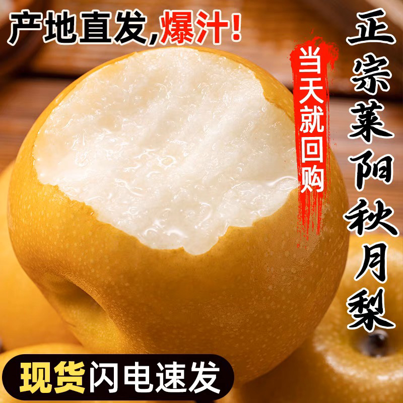 正宗莱阳原产地秋月梨现采现摘香甜无渣（顺丰冷链专属）