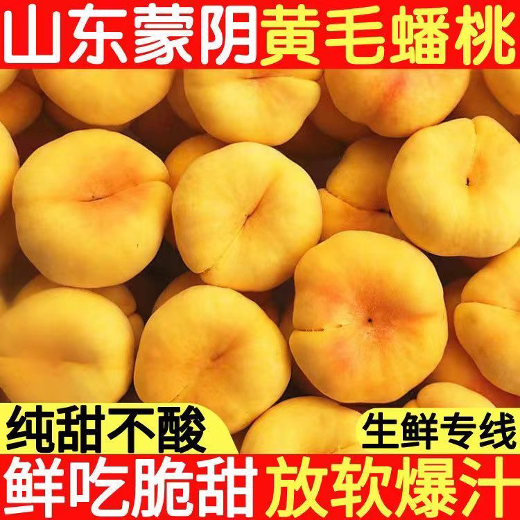 【纯甜爆汁】山东蒙阴纯甜黄金蟠桃新鲜水果毛桃子应季新鲜的桃子