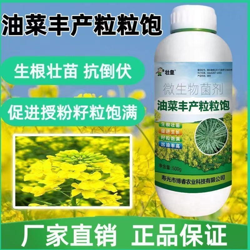 油菜丰产粒粒饱提高出油率促花授粉抗倒伏粒粒饱满油菜叶面肥