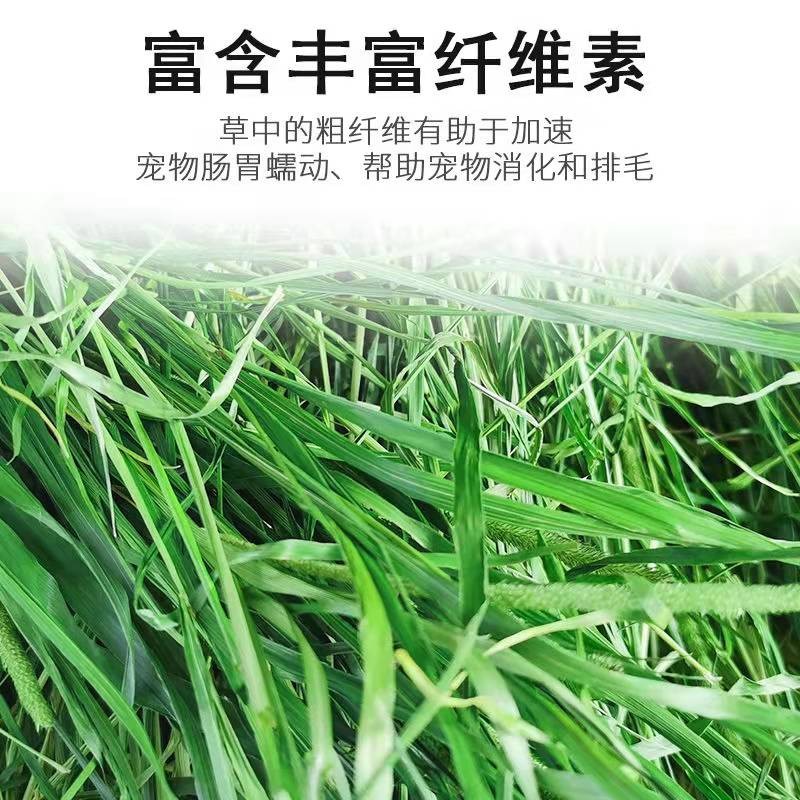 提摩西兔子磨牙干草粗纤维