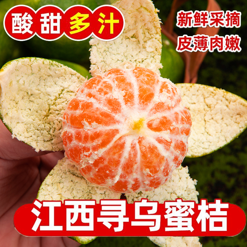【顺丰上门】江西赣南寻乌蜜橘现摘无籽青皮新鲜应季水果2/3/5斤