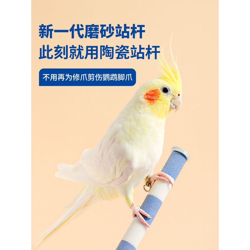 威毕鹦鹉磨爪棒虎皮玄凤牡丹鸟用实用站杆站棍架不锈钢陶瓷磨嘴石