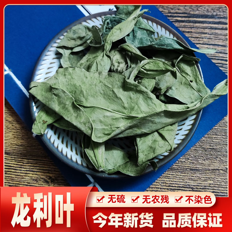 广西野生龙利叶新货龙利叶龙俐叶龙舌叶 龙脷叶牛耳叶100克250g
