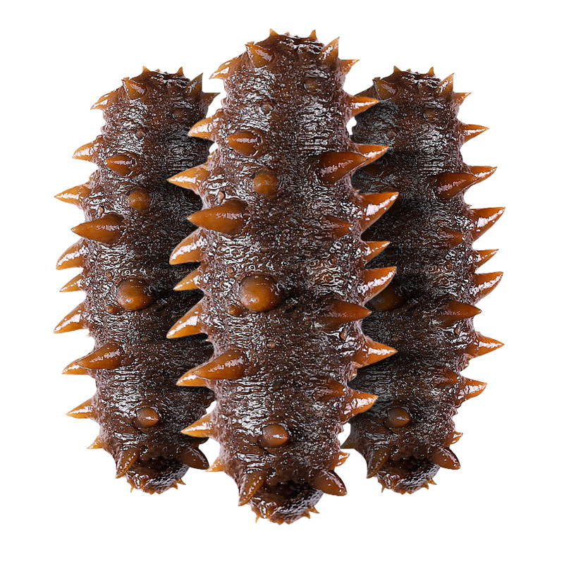 大连即食营养方便肉质肥厚海参净重500g装 新鲜食用解冻8-10只