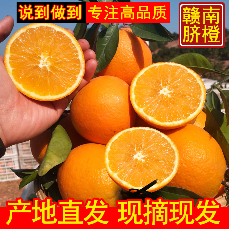 【赣南信丰脐橙】赣南脐橙现摘现发新鲜水果1/5/10斤装孕妇甜橙子