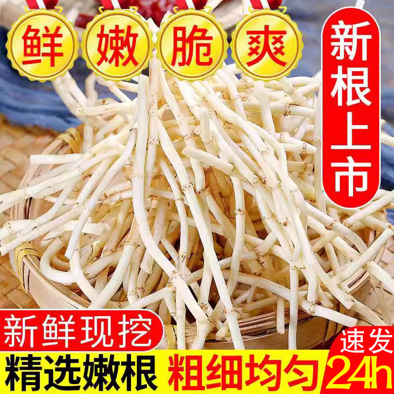 鱼腥草新鲜折耳根现挖嫩节节根带泥鱼星草侧耳根湖北云贵川特产