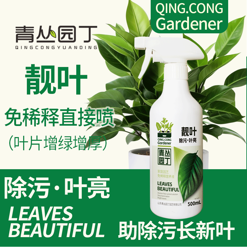 青丛园丁靓叶除污叶亮叶绿叶油亮长效家庭园艺通用即喷型营养液