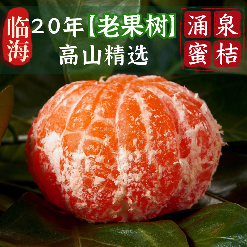 20年高山老果树正宗临海涌泉蜜桔新鲜薄皮现摘4.5斤中秋礼盒装