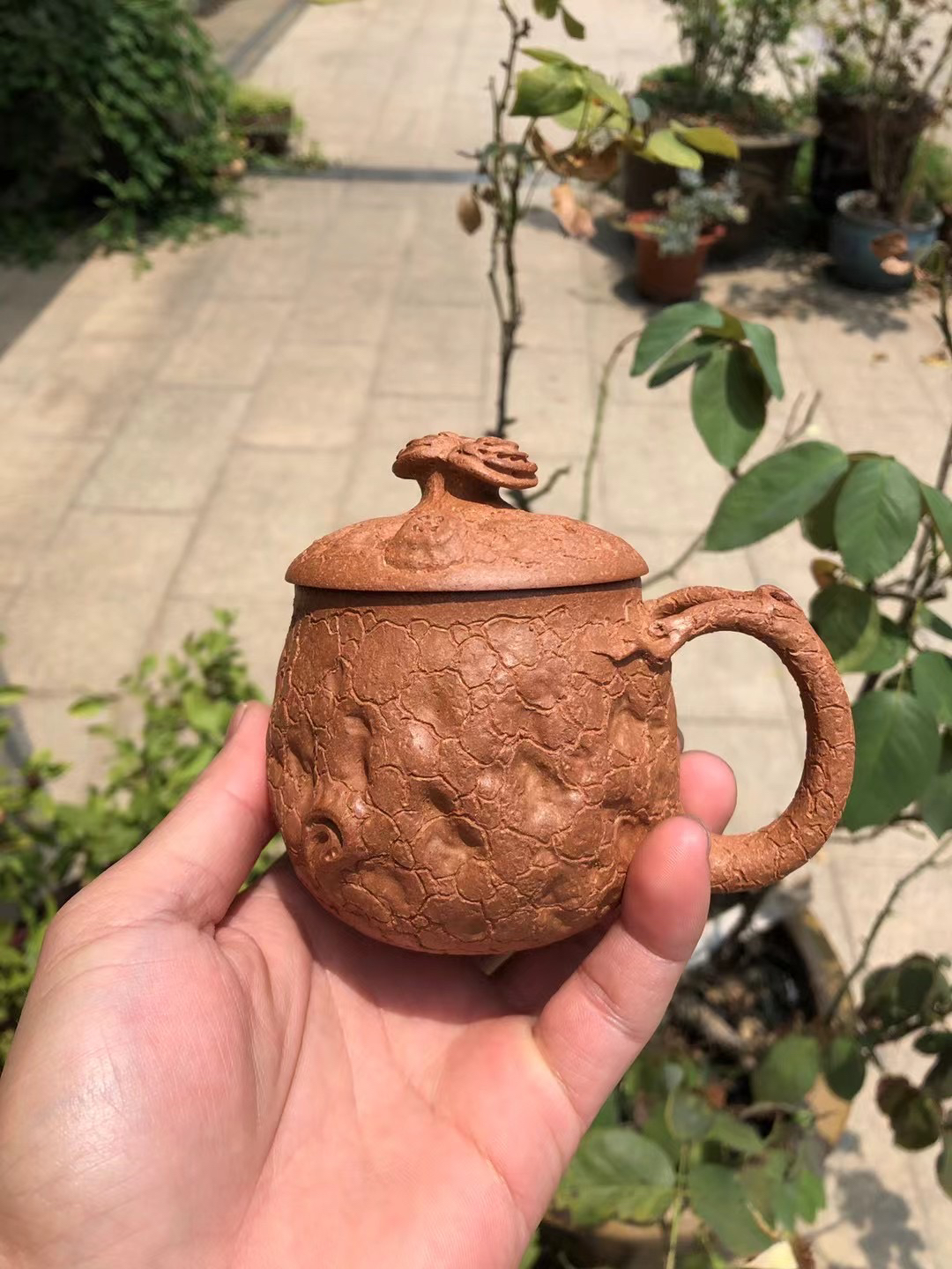 灵芝供春杯200CC宝山团泥紫砂无添加