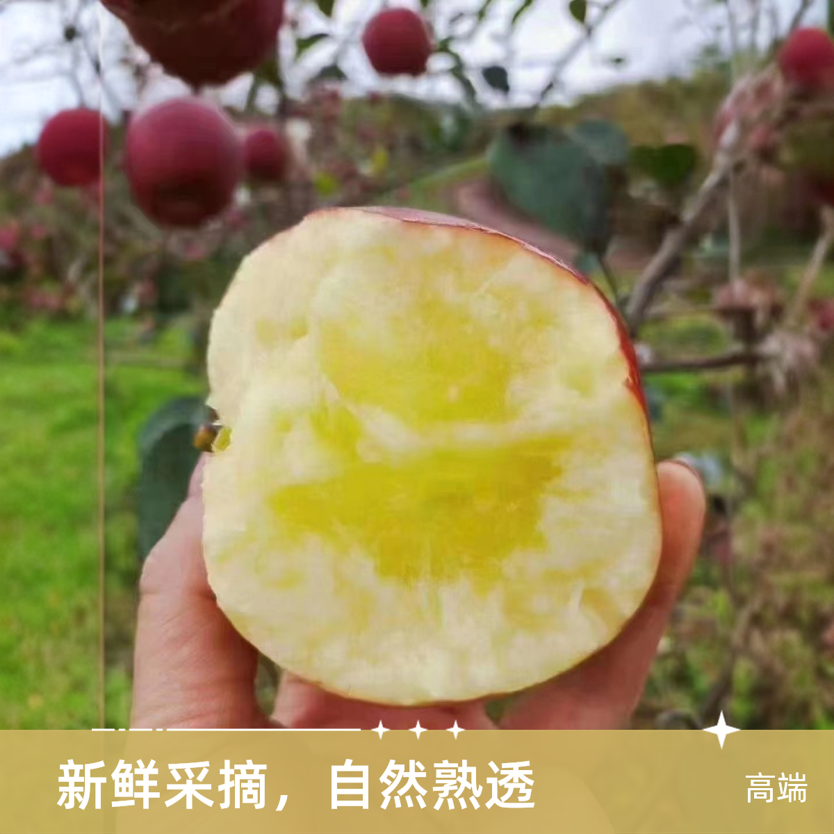 云南昭通冰糖心丑苹果净重5斤中果