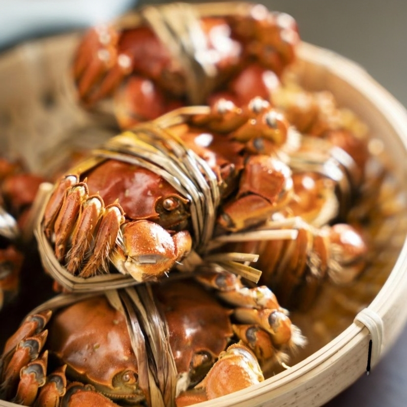 哇蟹蟹江苏活大闸蟹规格公蟹4两，母蟹3两，8只冷链快速到达螃蟹